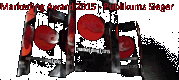 markedingaward-gewinner2015